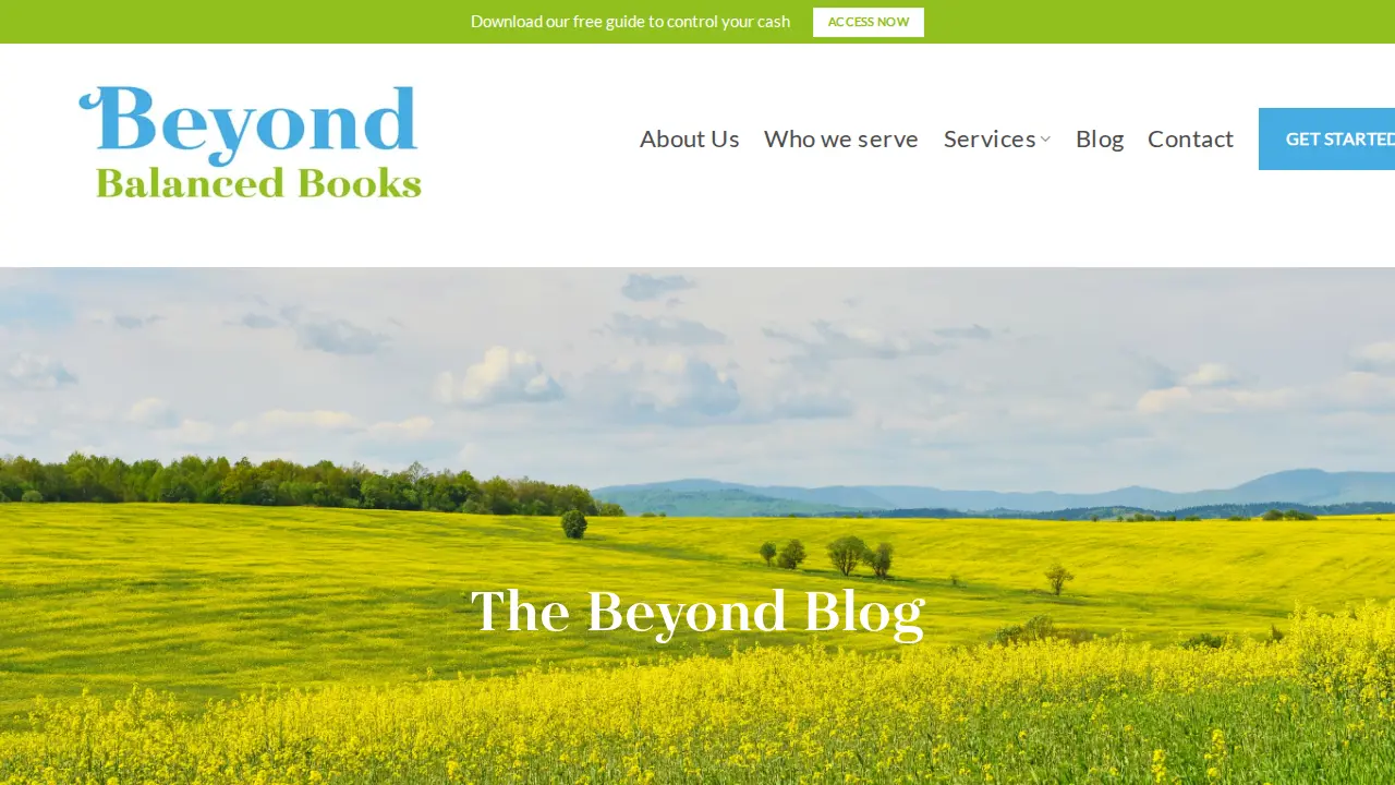Beyond Balanced Books Inc page