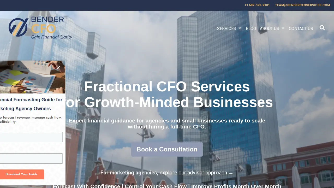 Bender CFO Services