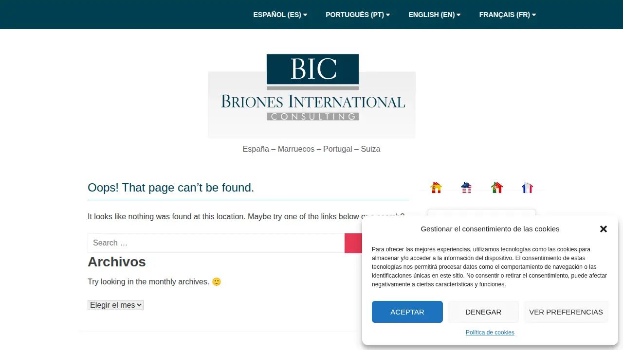 Briones International Consulting SL page