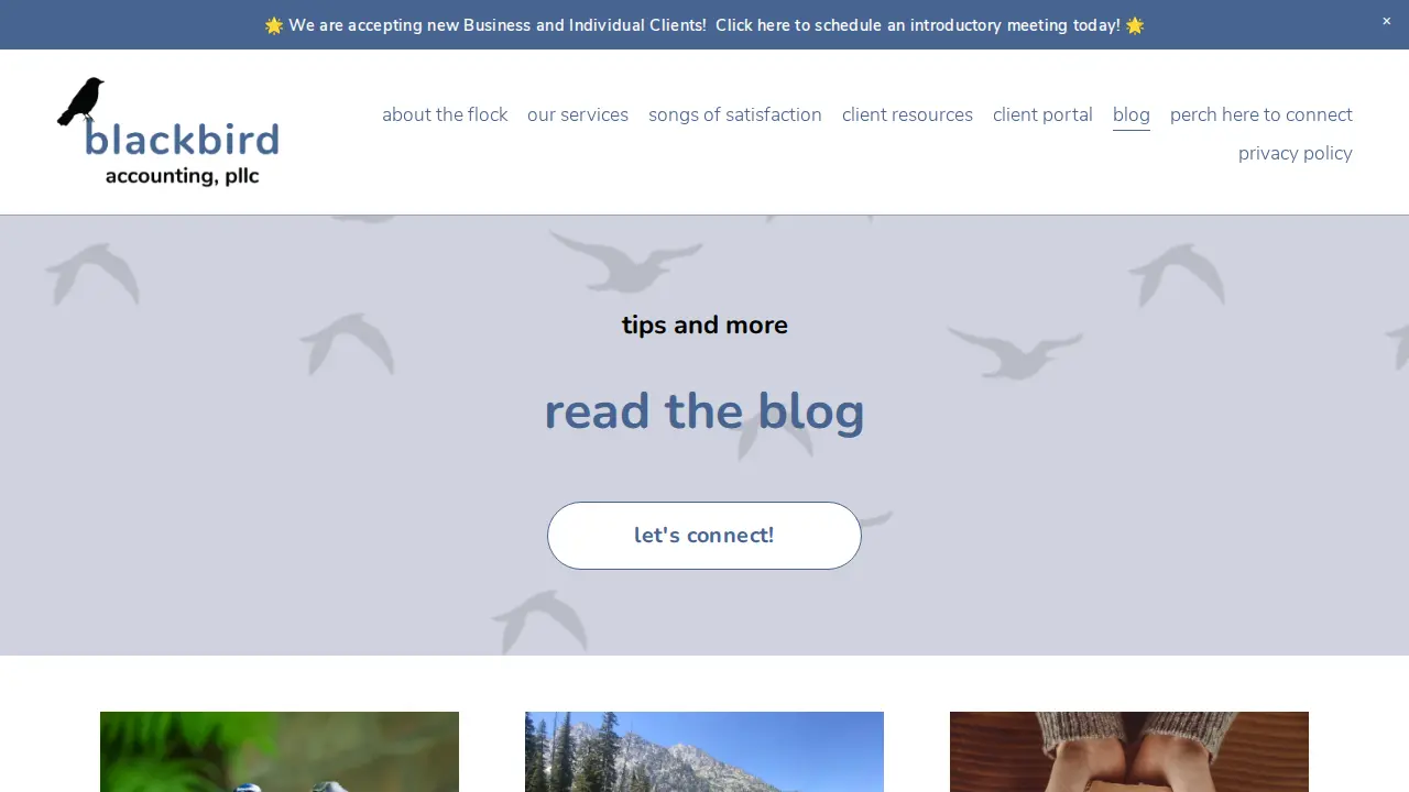 Blackbird Accounting PLLC page