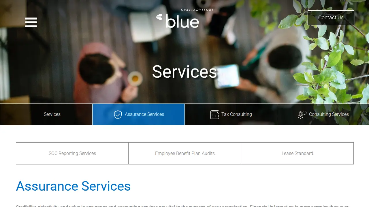 Blue & Co., LLC page