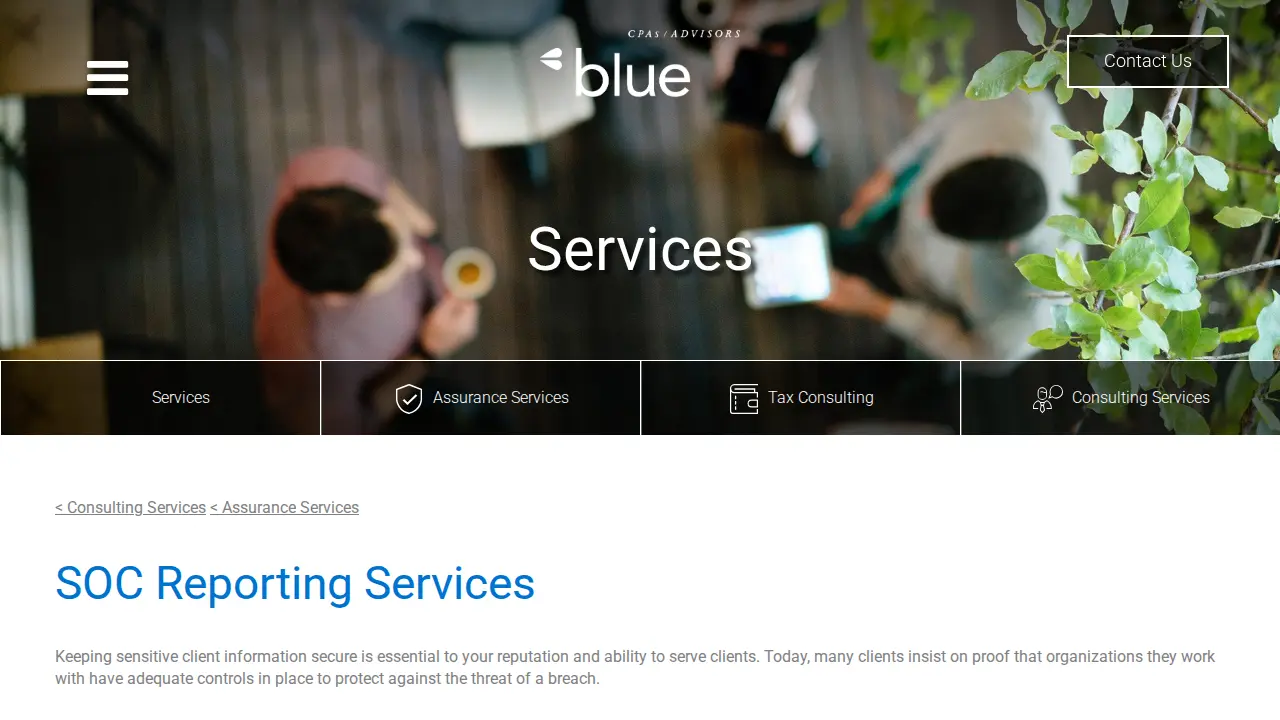 Blue & Co., LLC page