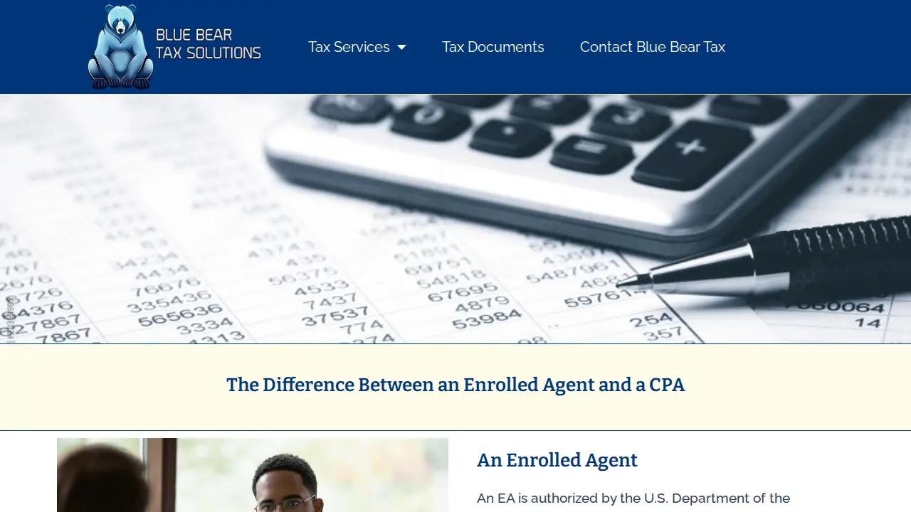 Blue Bear Tax Solutions page