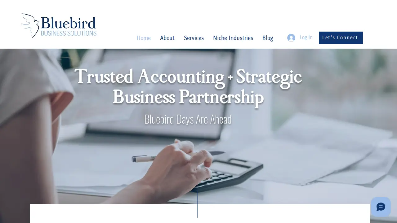 Bluebird Business Solutions LLC website