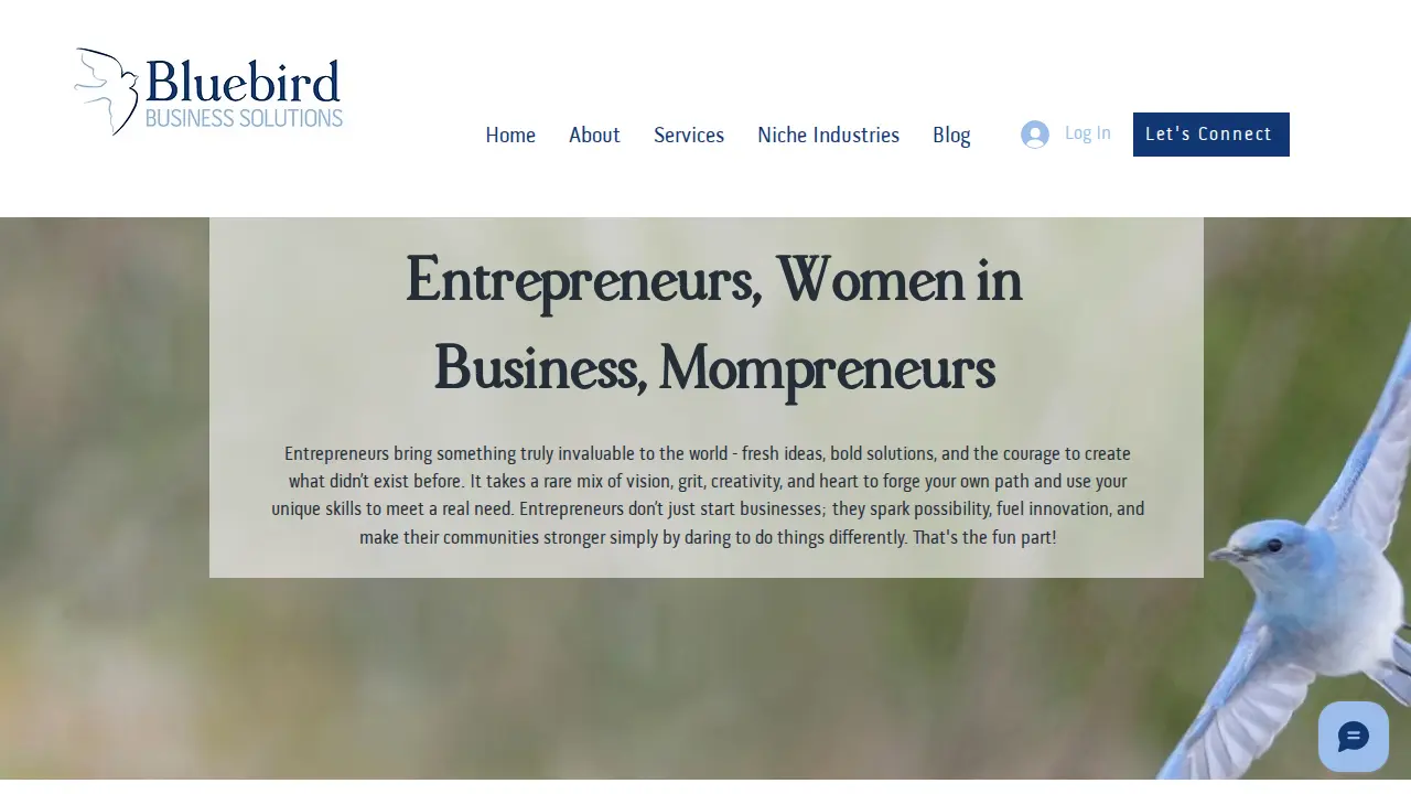 Bluebird Business Solutions LLC page