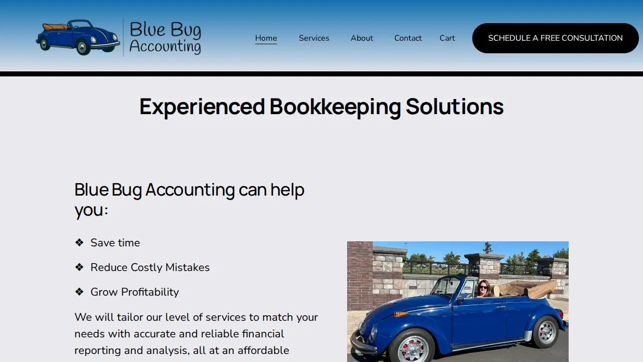 Blue Bug Accounting, LLC