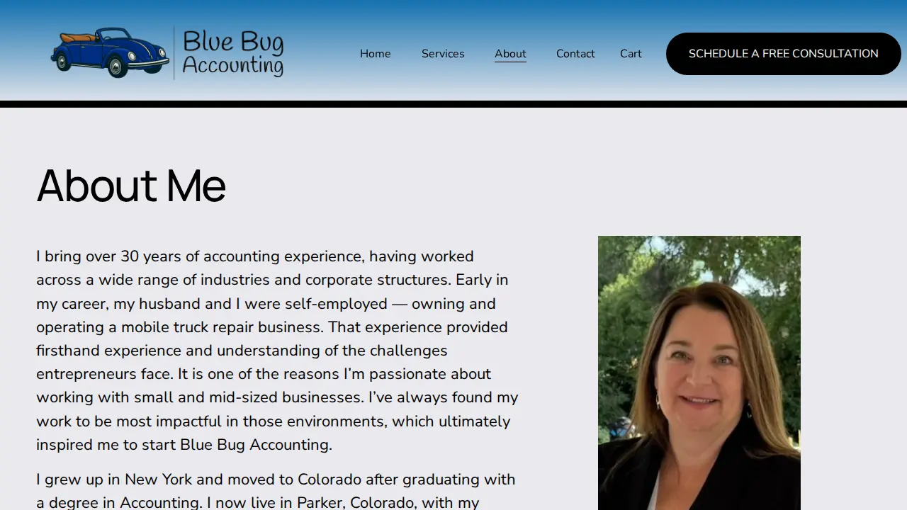 Blue Bug Accounting, LLC page