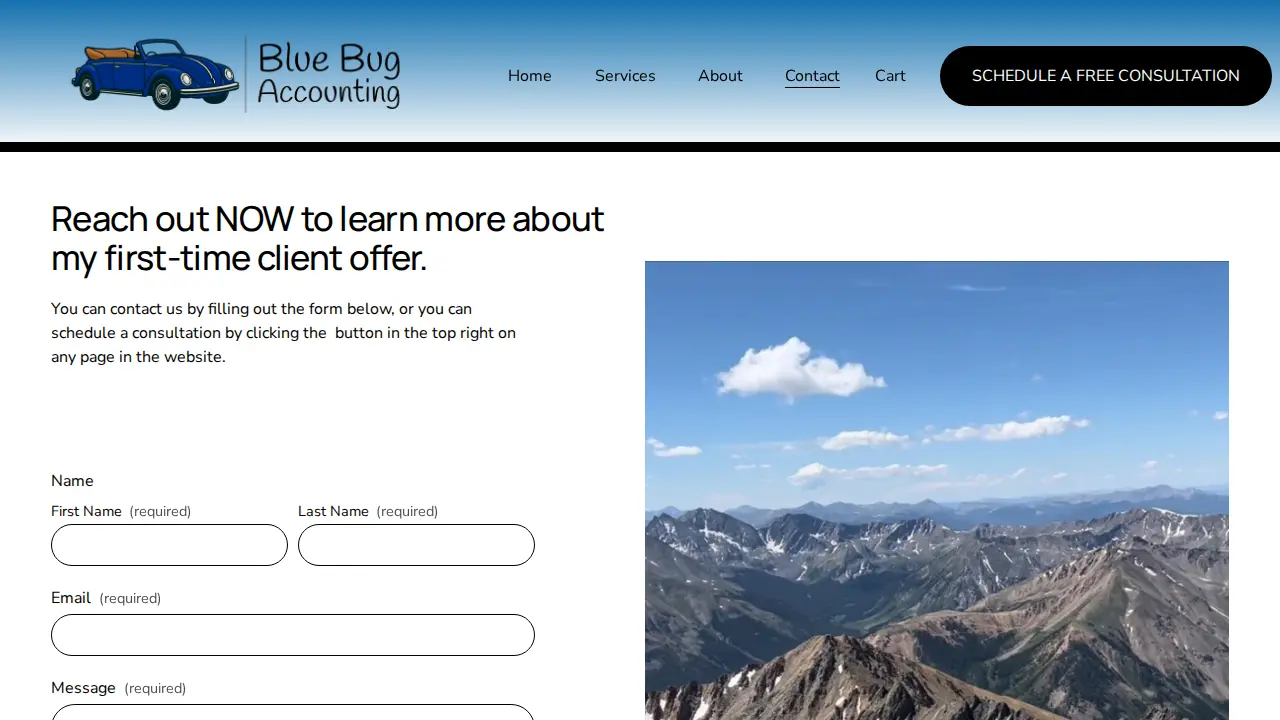 Blue Bug Accounting, LLC page