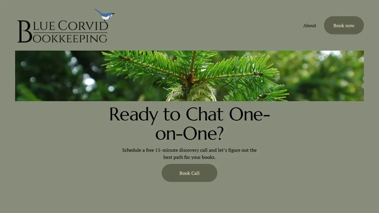 Blue Corvid Bookkeeping LLC page