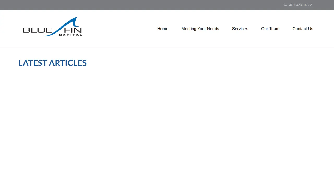 Blue Fin Capital Inc page