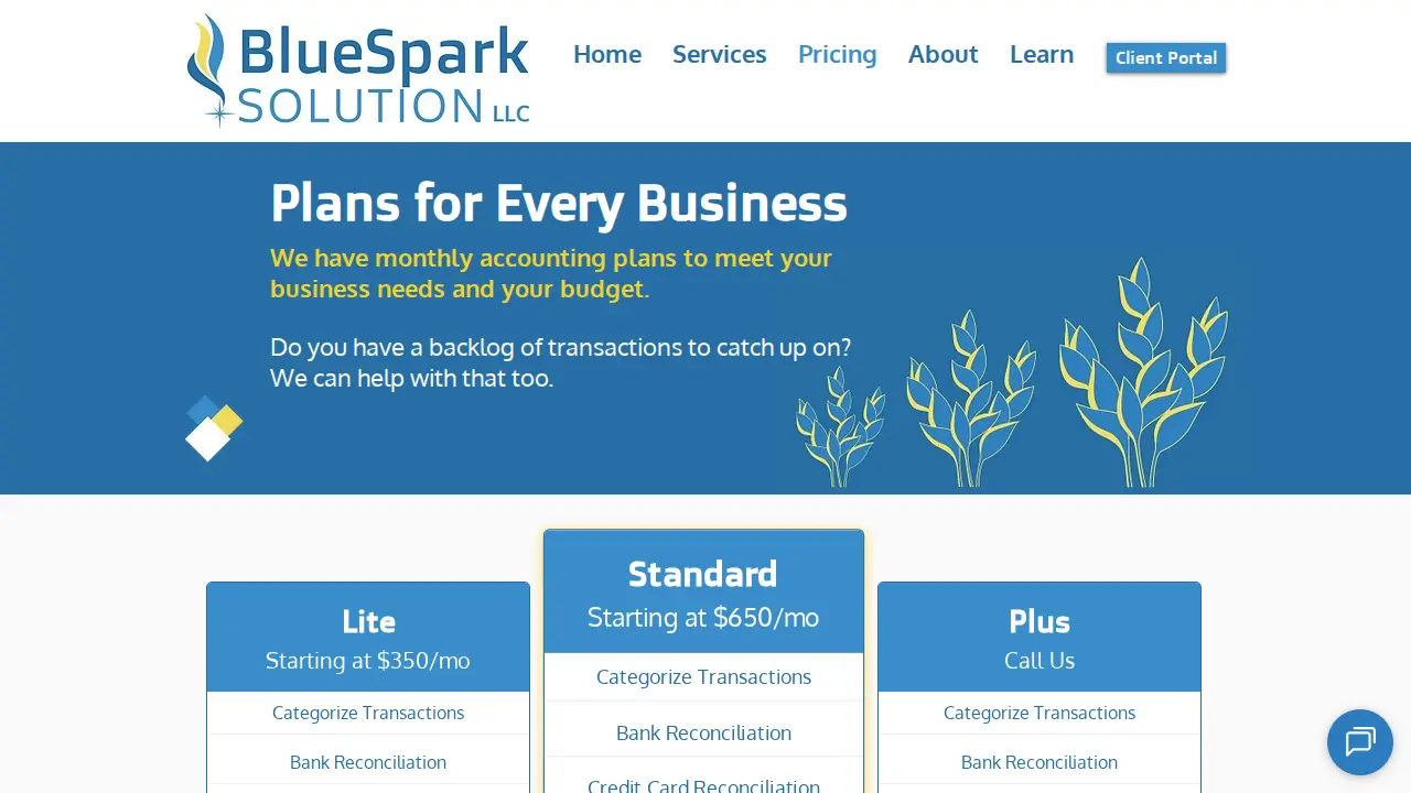 BlueSpark Solution page