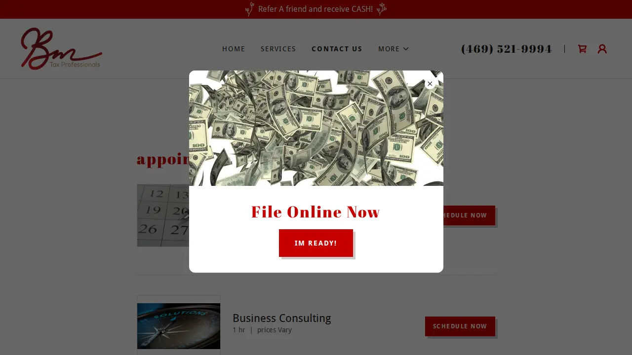 BM Tax Professionals page