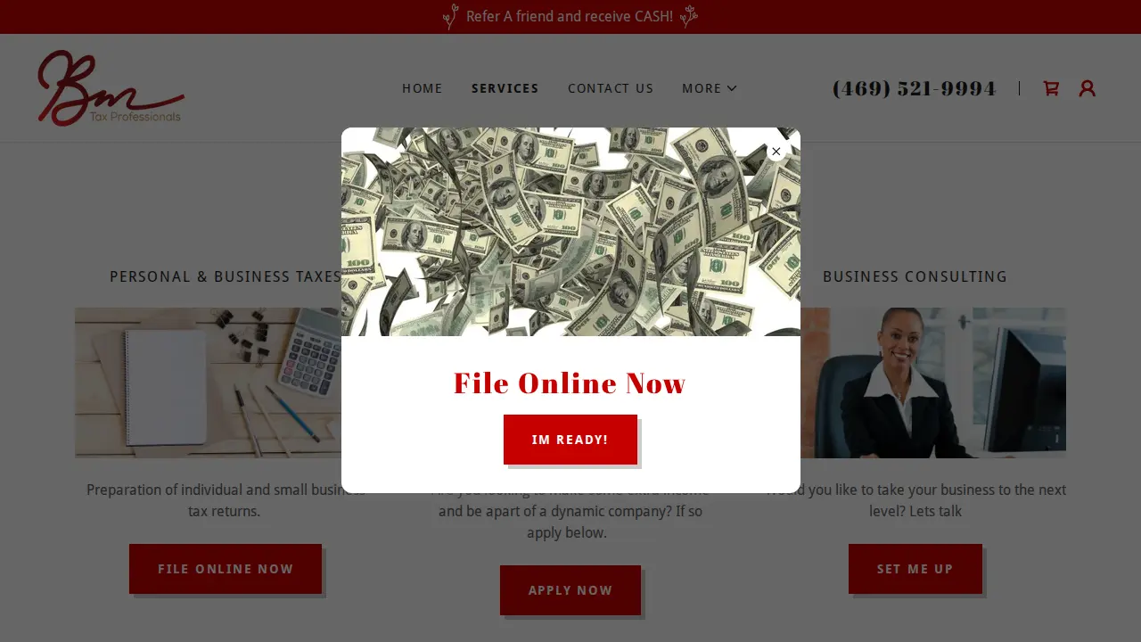 BM Tax Professionals page