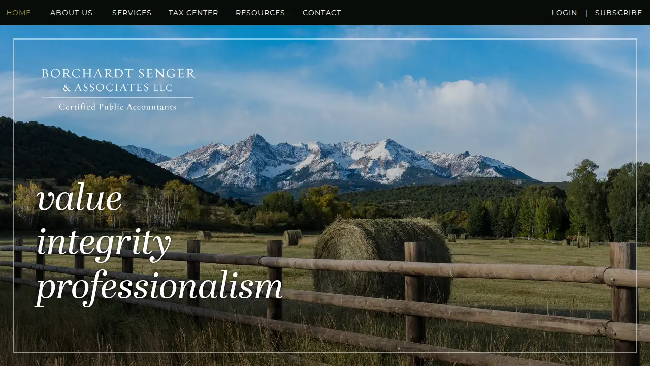 Borchardt Senger & Associates LLC
