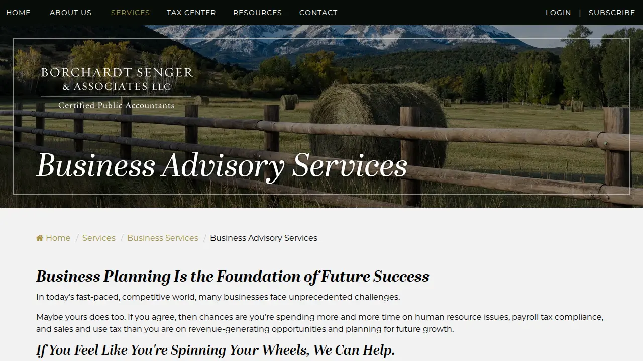 Borchardt Senger & Associates LLC page