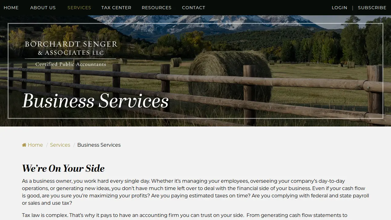 Borchardt Senger & Associates LLC page