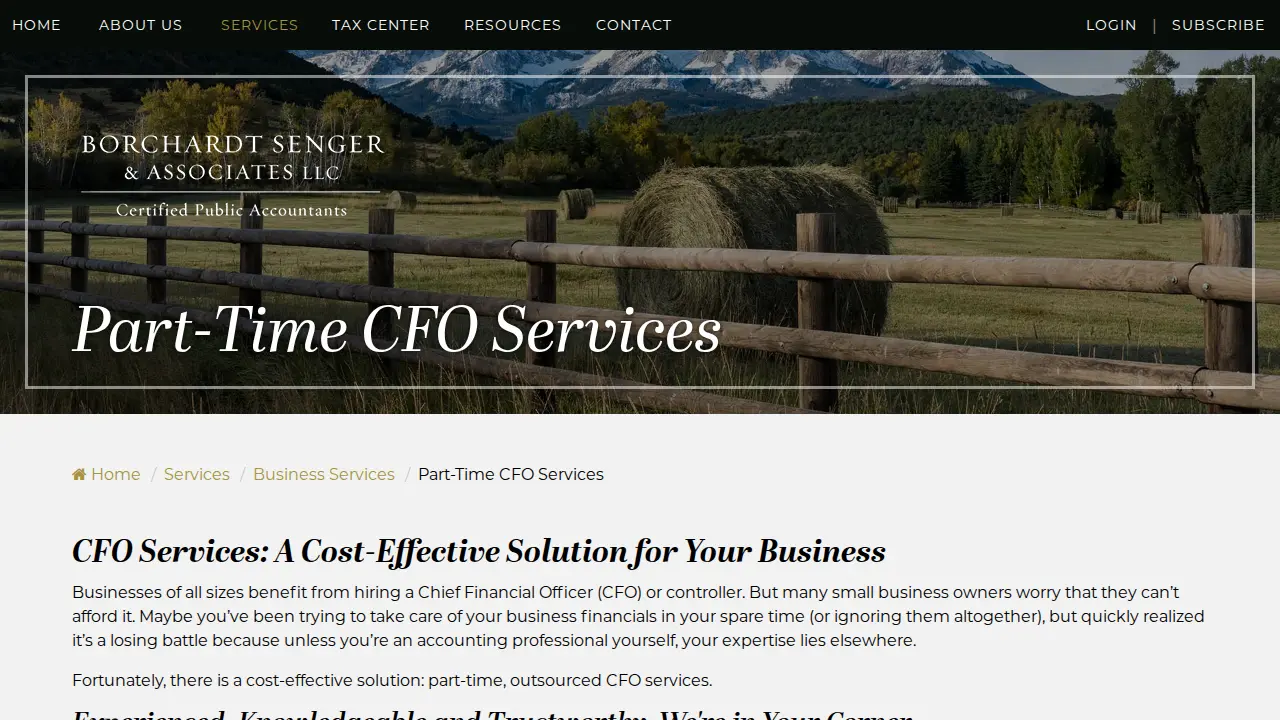 Borchardt Senger & Associates LLC page