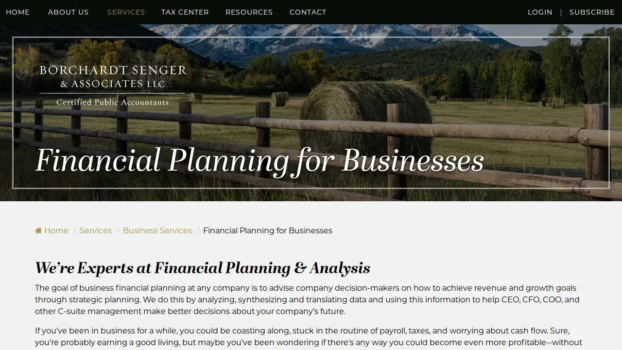 Borchardt Senger & Associates LLC page