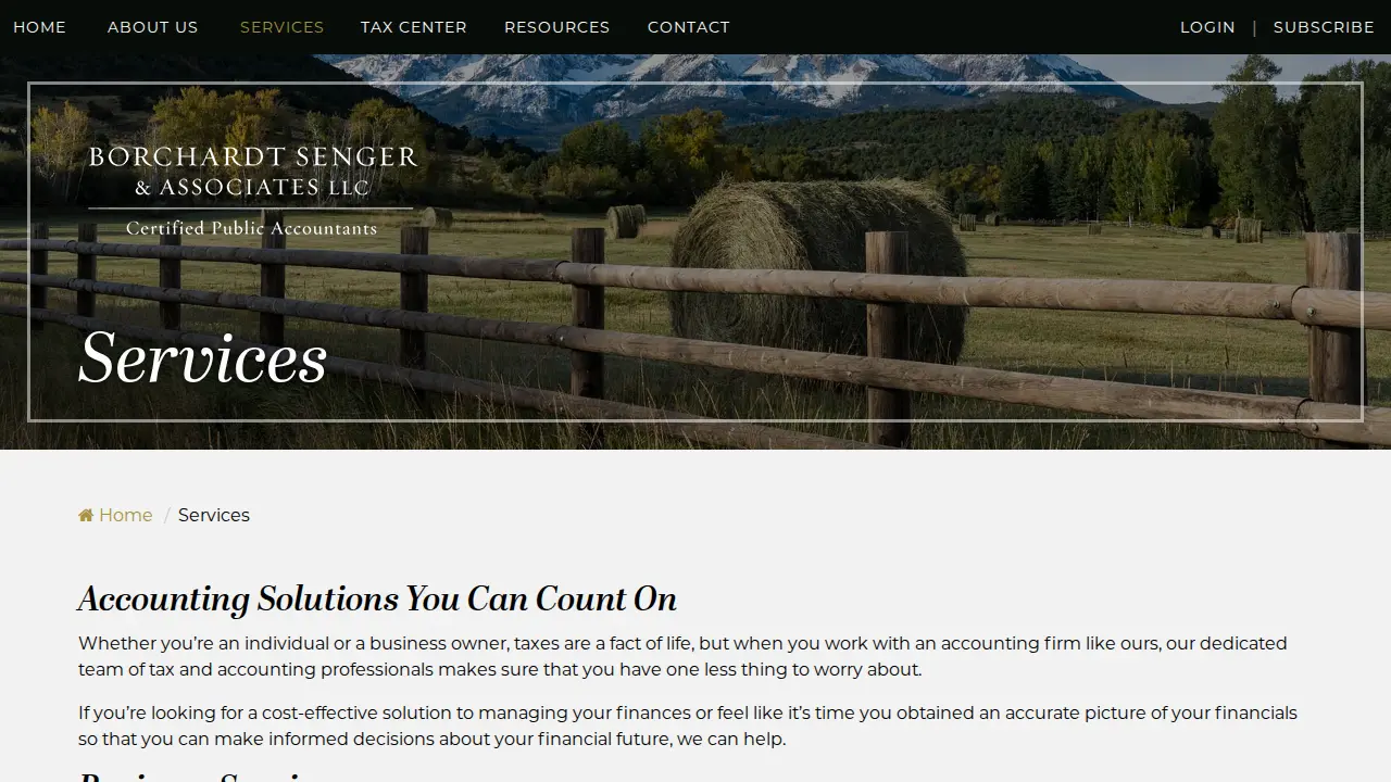 Borchardt Senger & Associates LLC page