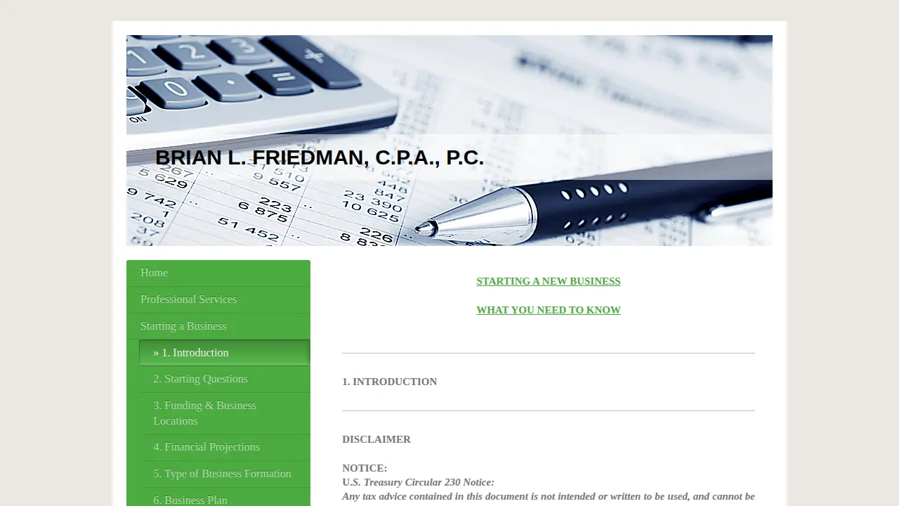 Friedman Brian L Cpa page