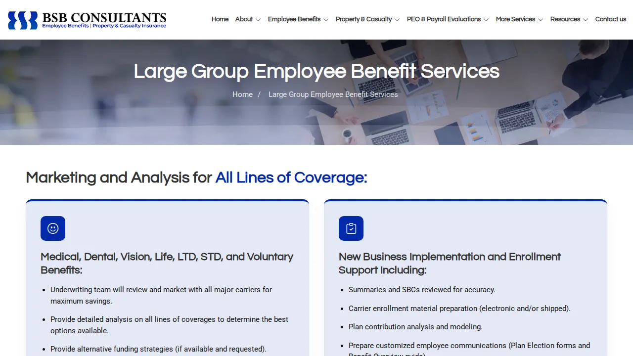 BSB Consultants page