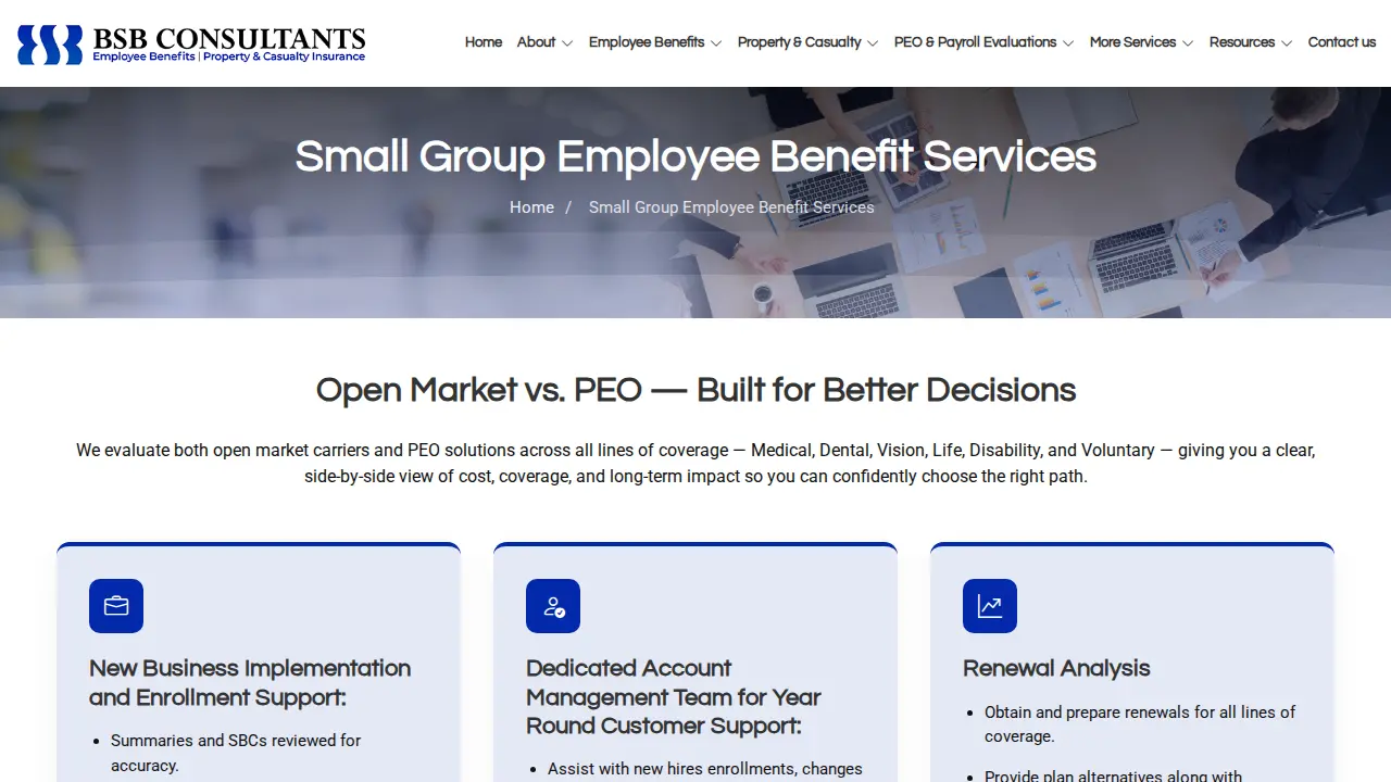BSB Consultants page