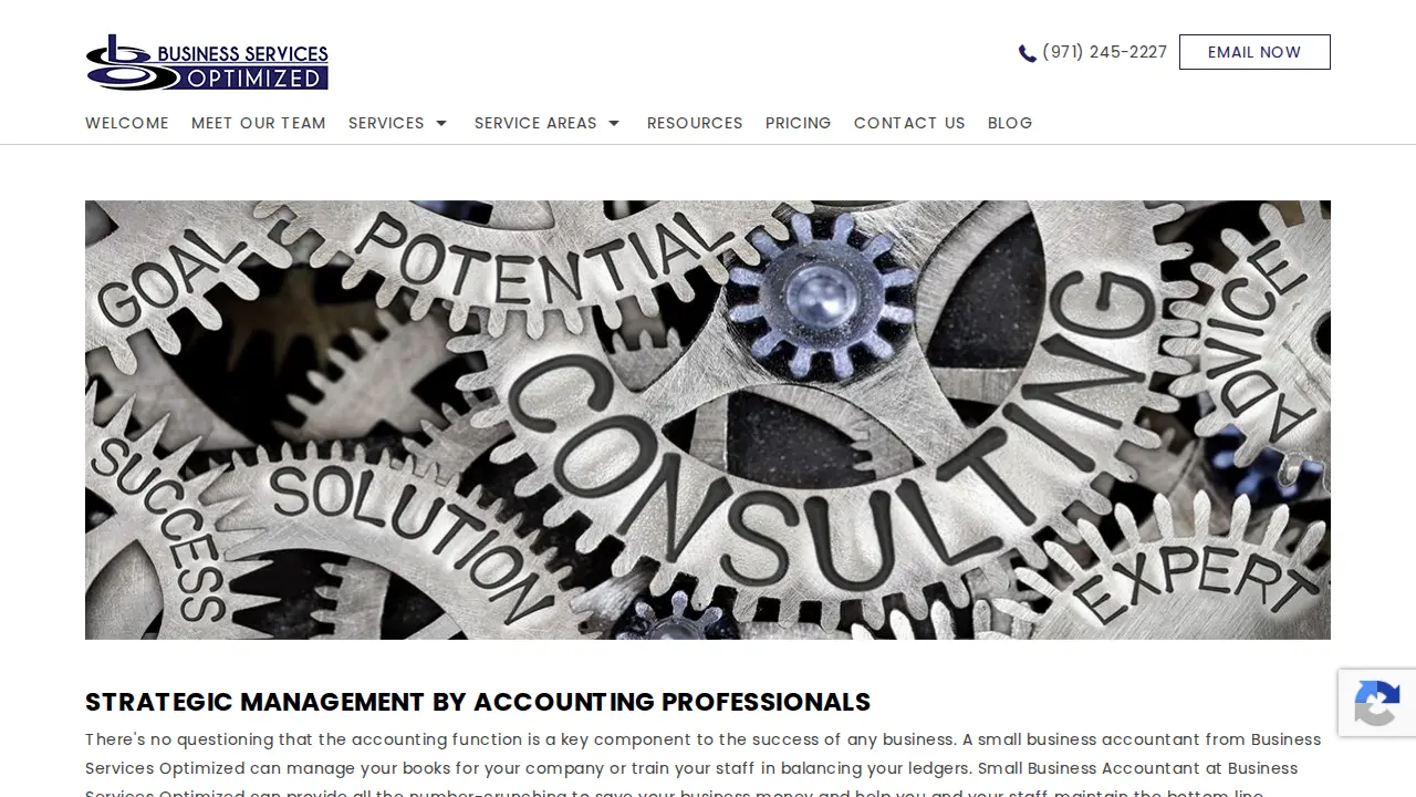 Business Services Optimized page