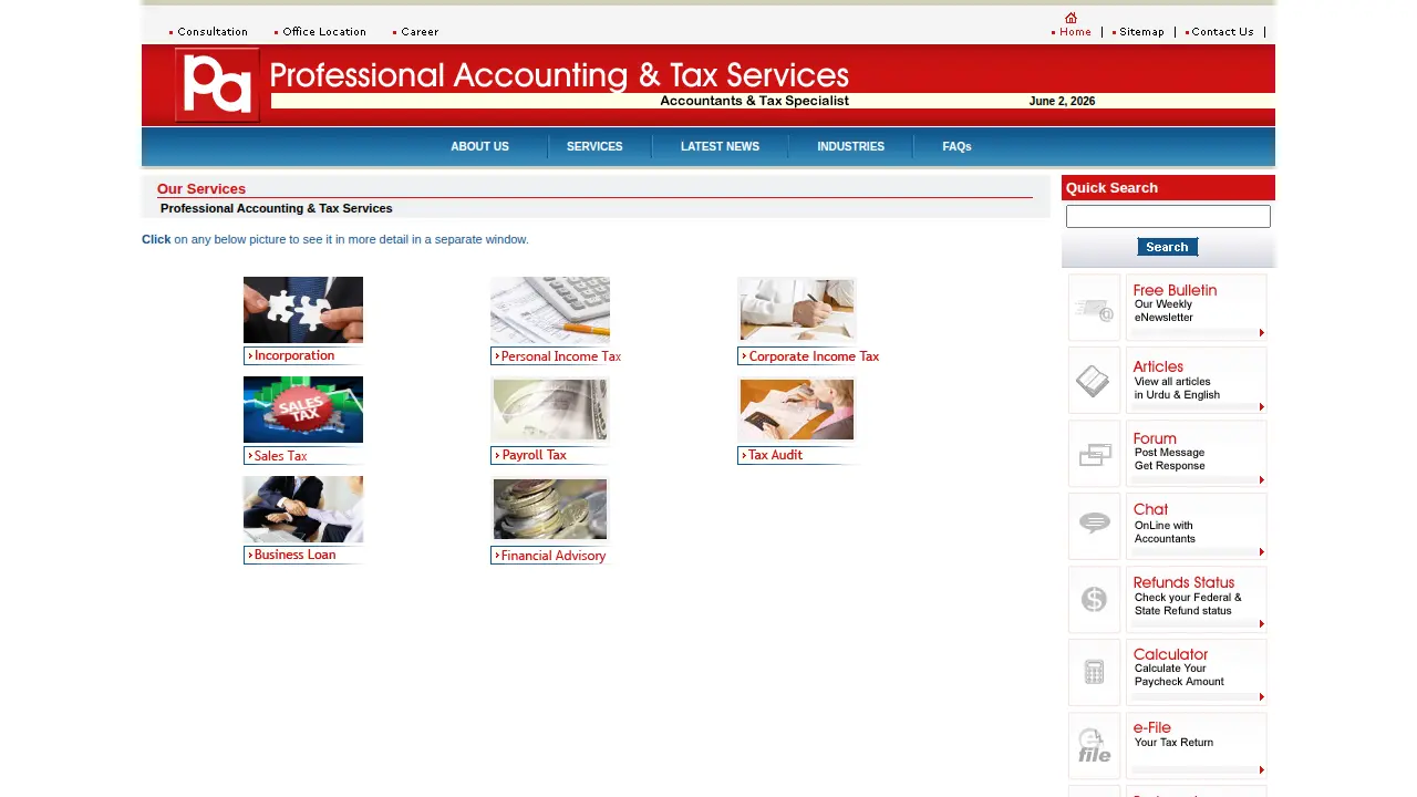 Professional Accounting Tax & Computer Services page