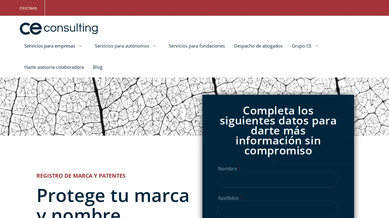 CE Consulting page