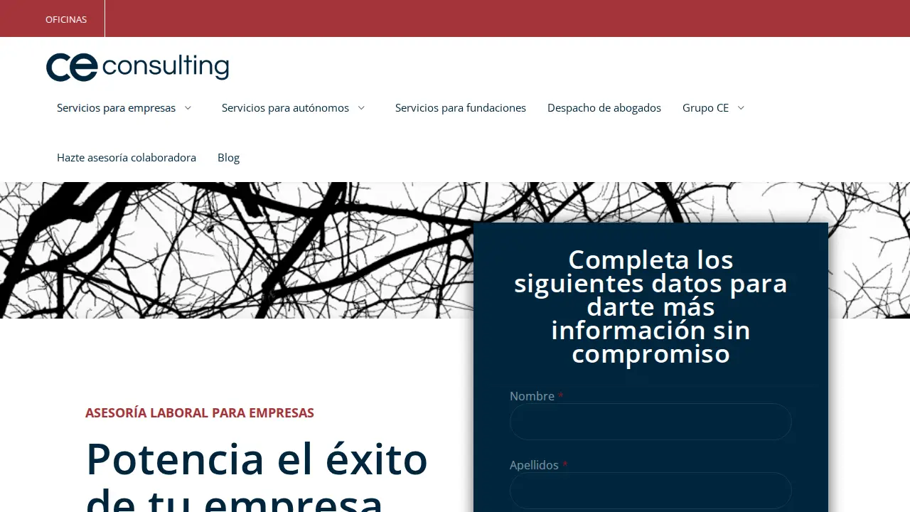 CE Consulting page