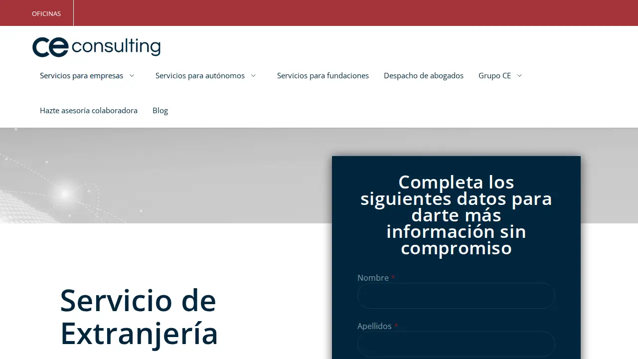 CE Consulting page