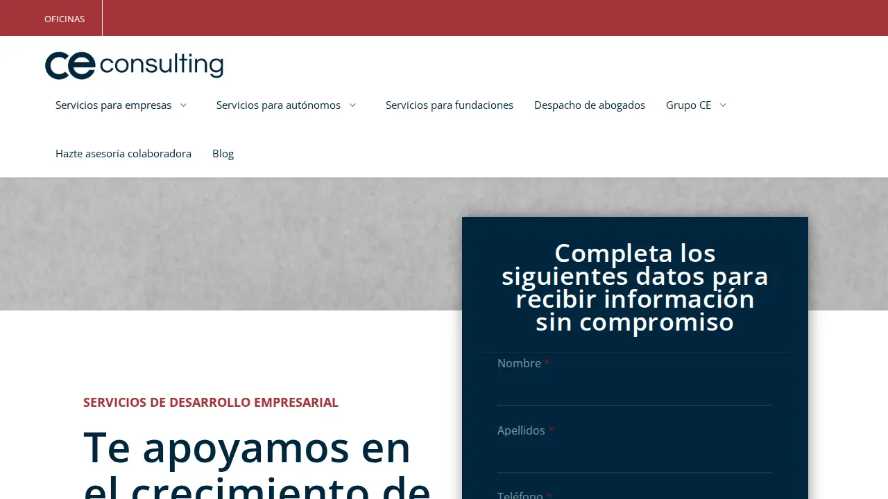 CE Consulting page