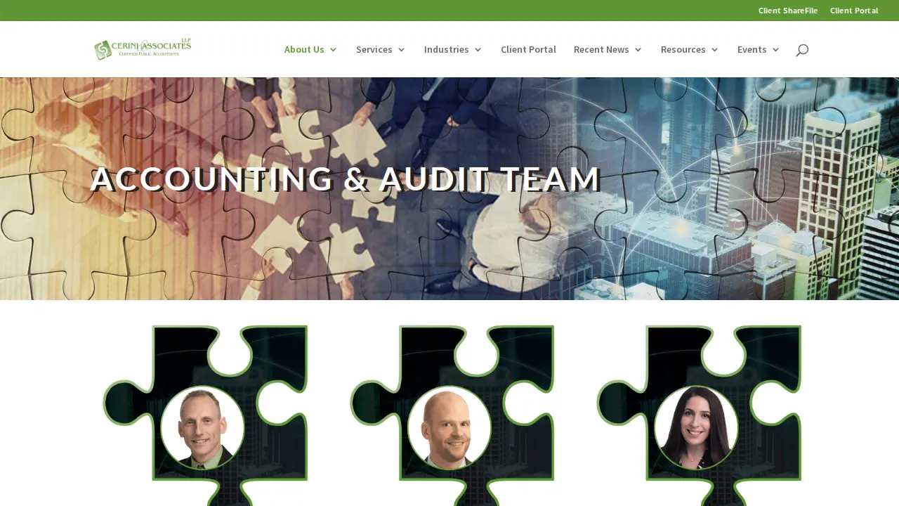 Cerini & Associates, LLP page
