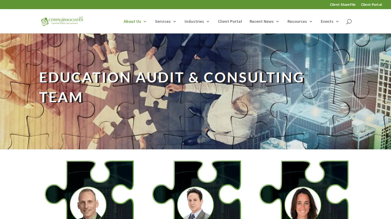 Cerini & Associates, LLP page