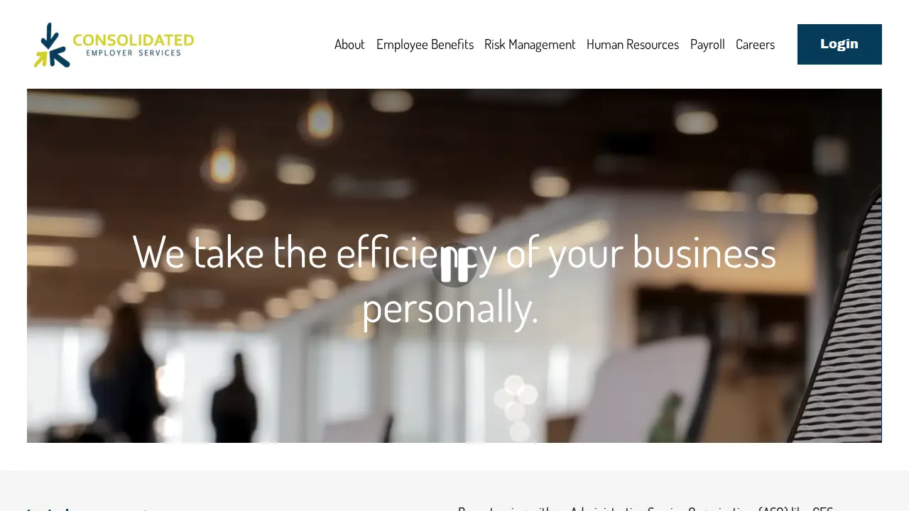 Consolidated Employer Services, Inc.
