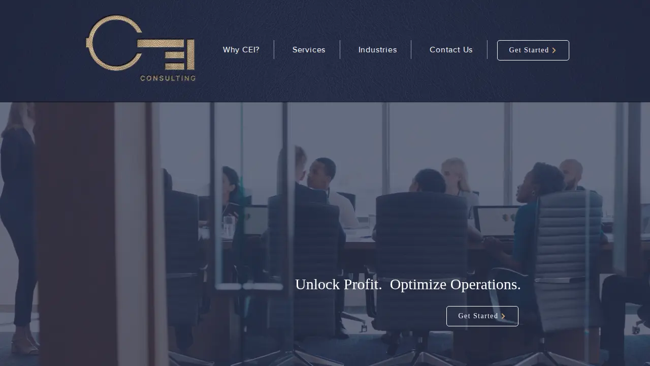 CEI Consulting Group website