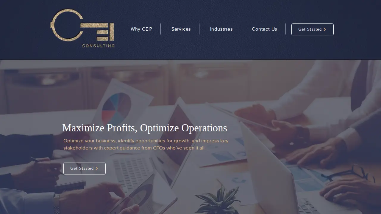 CEI Consulting Group page