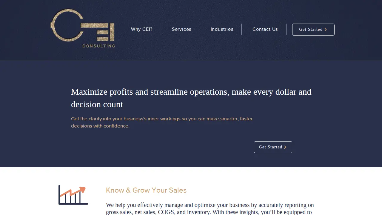 CEI Consulting Group page