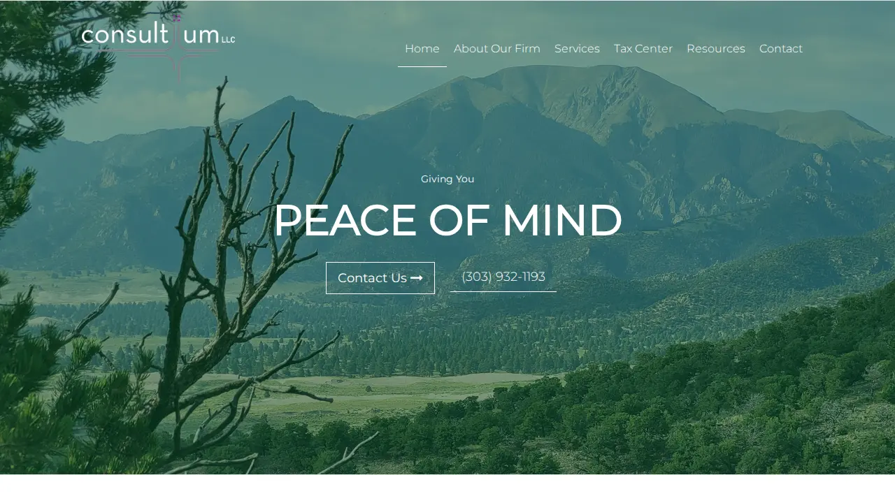 Consultiium LLC page