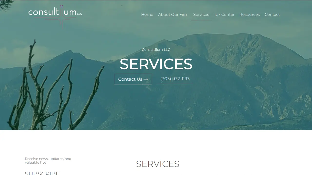 Consultiium LLC page