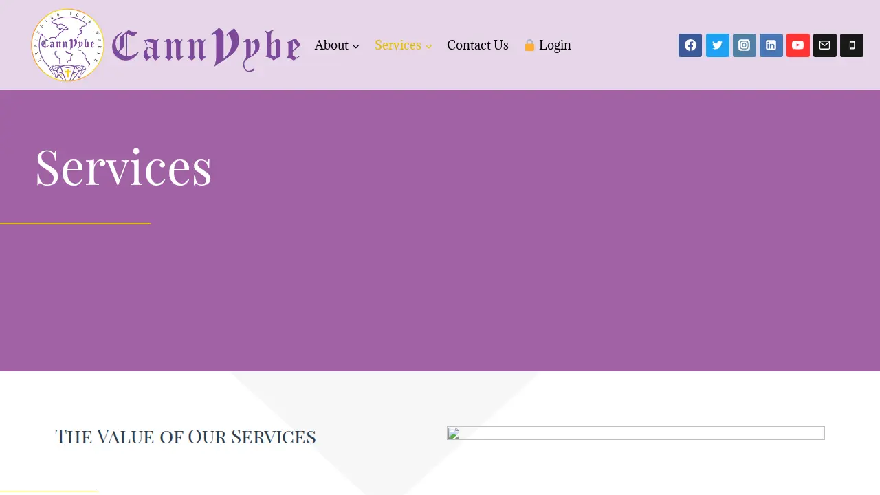 CannVybe Enterprises Inc page