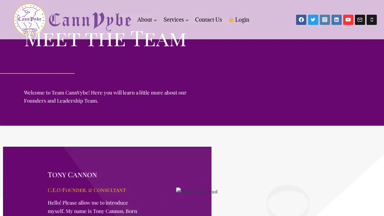 CannVybe Enterprises Inc page