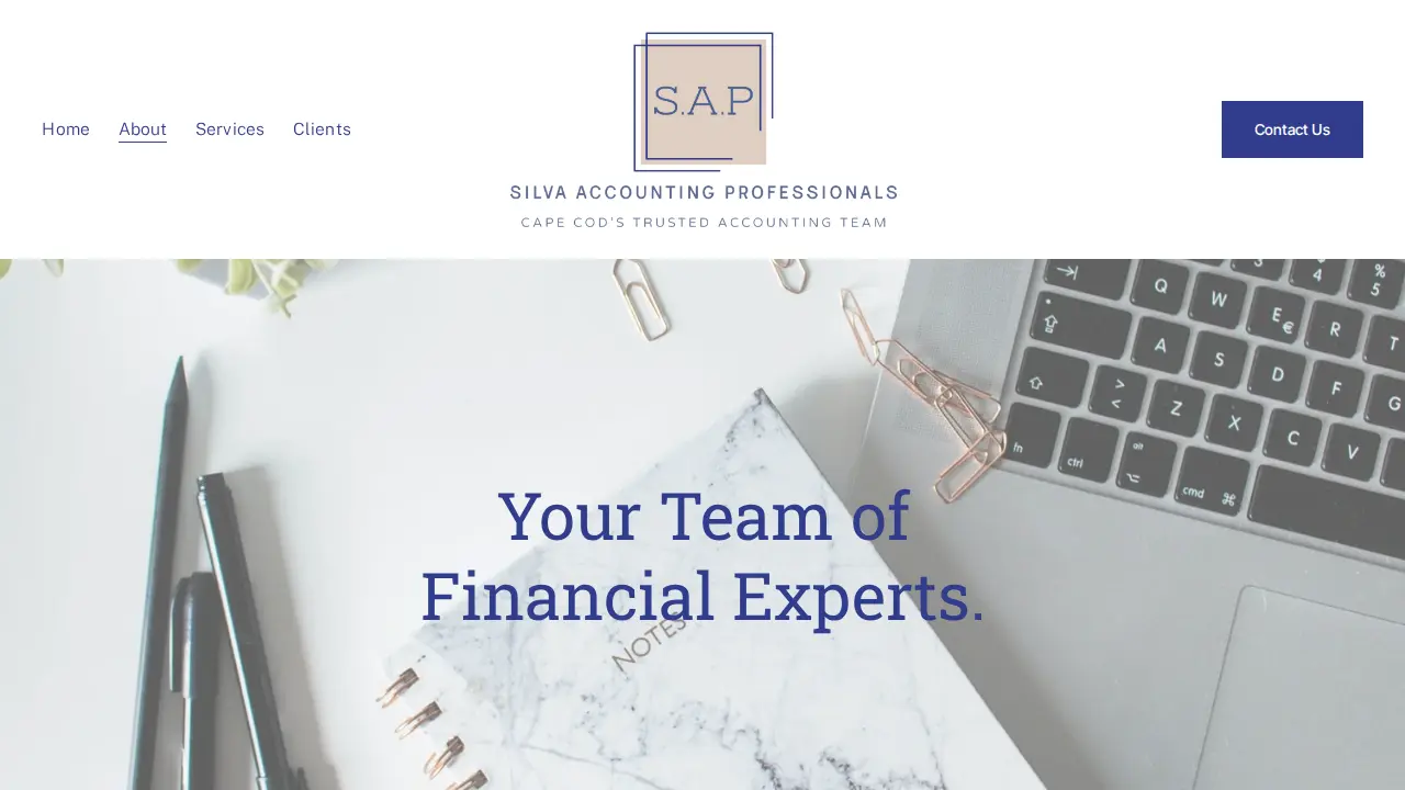 Silva Accounting Professionals page