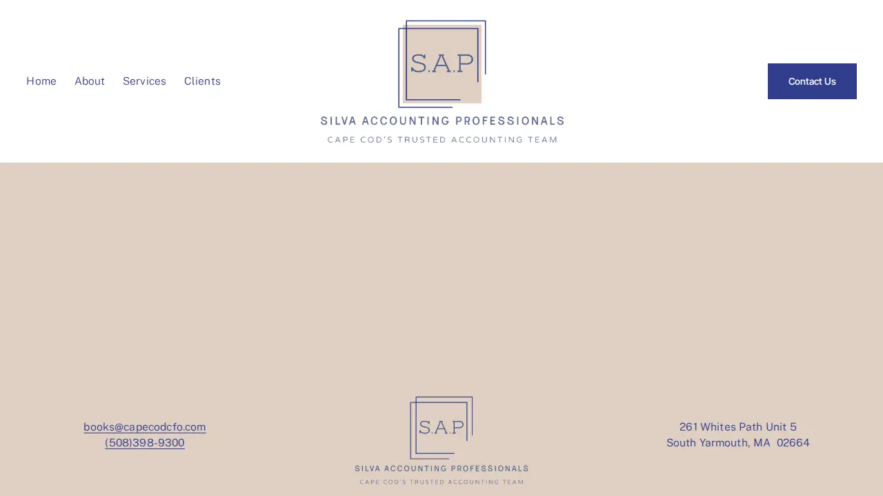 Silva Accounting Professionals page