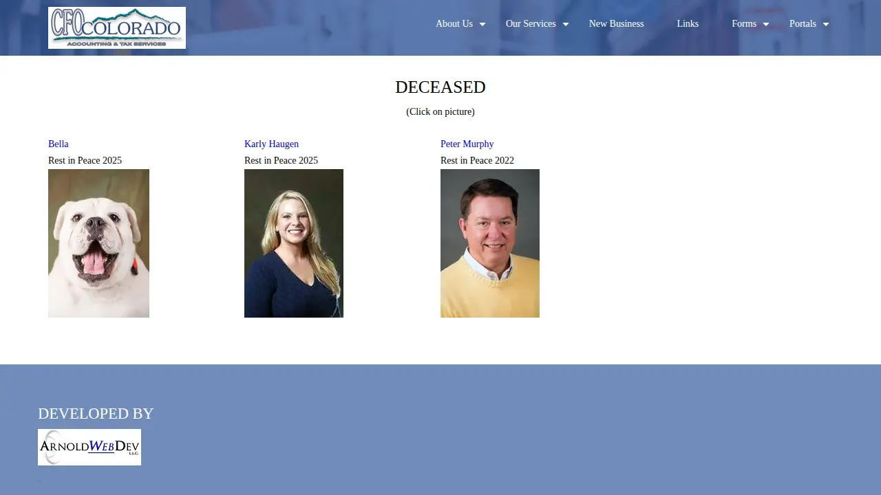 CFO Colorado Accounting & Tax Services page