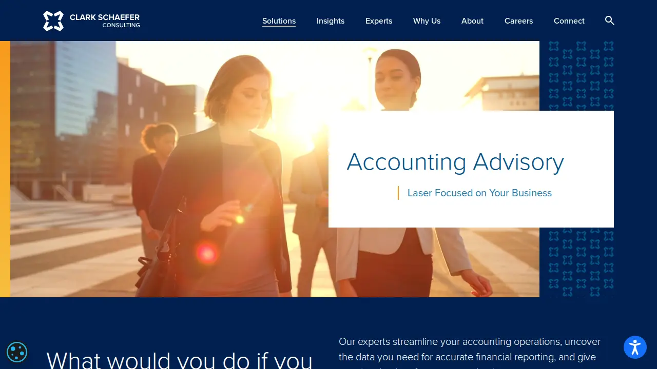 Clark Schaefer Consulting page