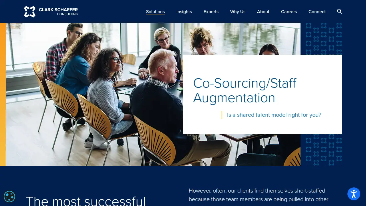 Clark Schaefer Consulting page