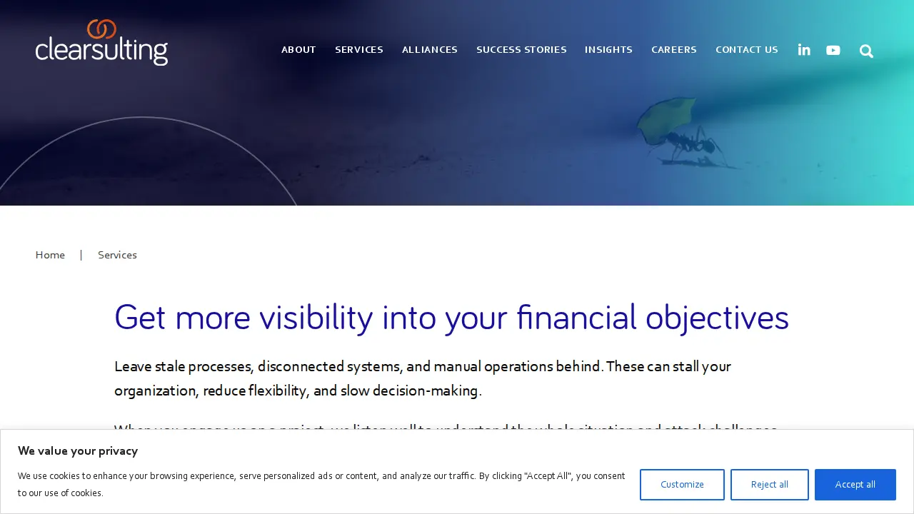 Clearsulting LLC page