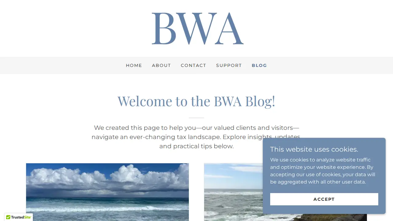 Blue Whale Accounting page