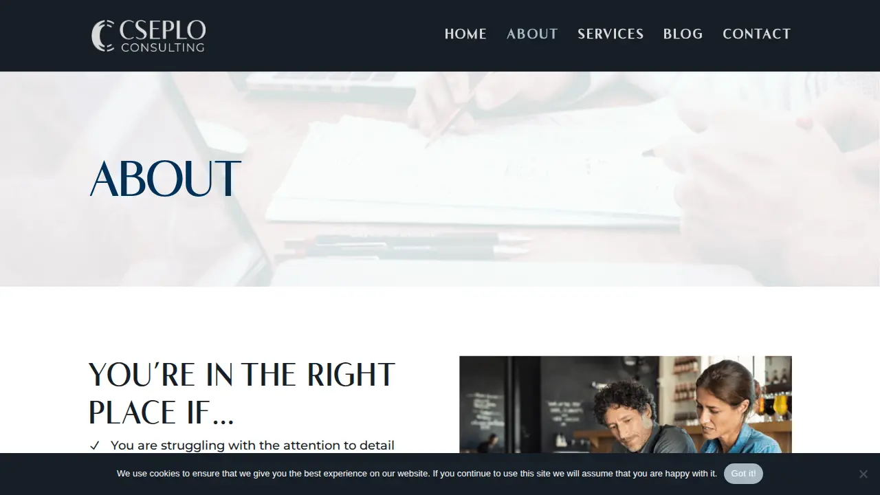 Cseplo Consulting page